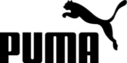 Linkedin Marketing 27 Puma Logo X2