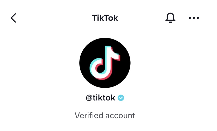 How to Get Verified on TikTok (2022 Guide) 1 How To Get Verified On Tiktok 2022 Guide 1