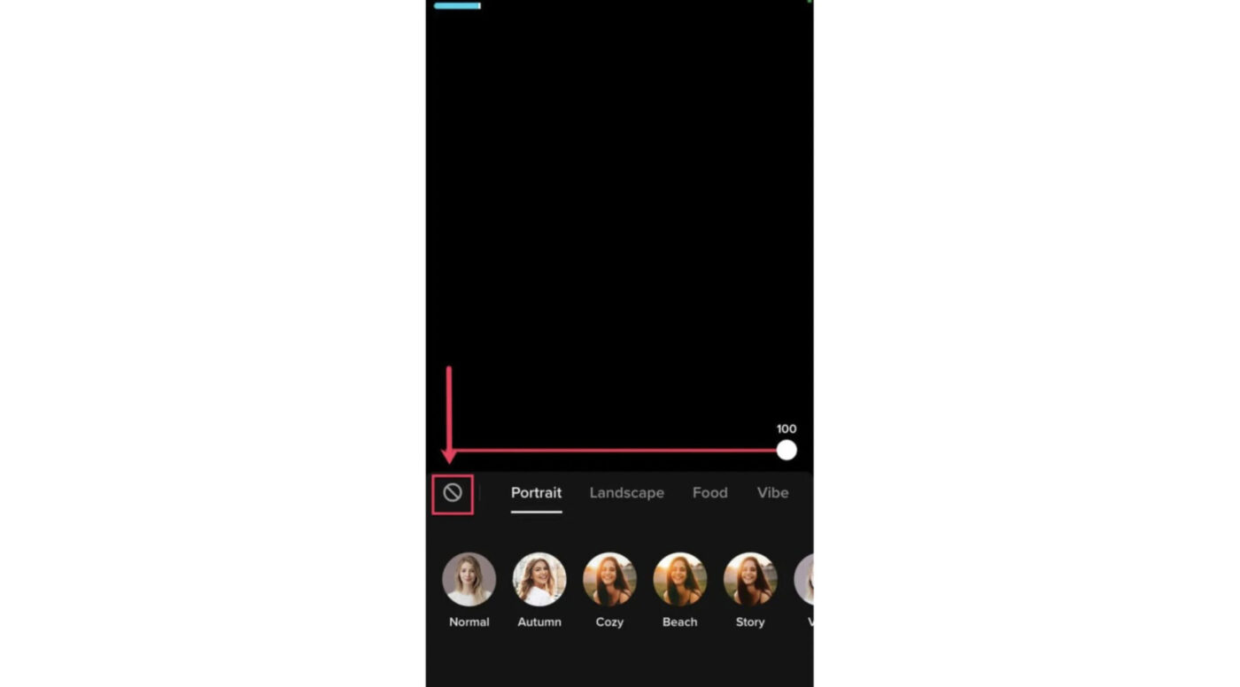 How to Remove TikTok Filters from Videos (2022 Guide) 8 How To Remove Tiktok Filters From Videos 2022 Guide 8